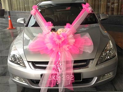Car decoration arranges for wedding in Bhopal - Utsav Marriage Garden