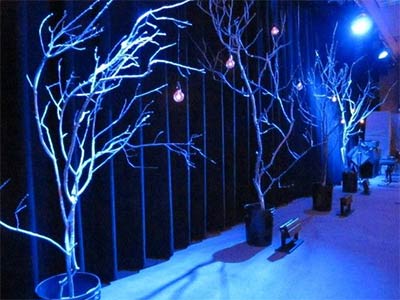marriage garden in hoshangabad utsav marriage garden